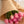Tulipas rosas - Omotesandō Plants