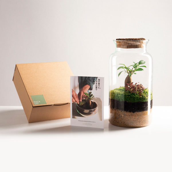 Pack DIY - Jardín en un bol "Garden Gins"