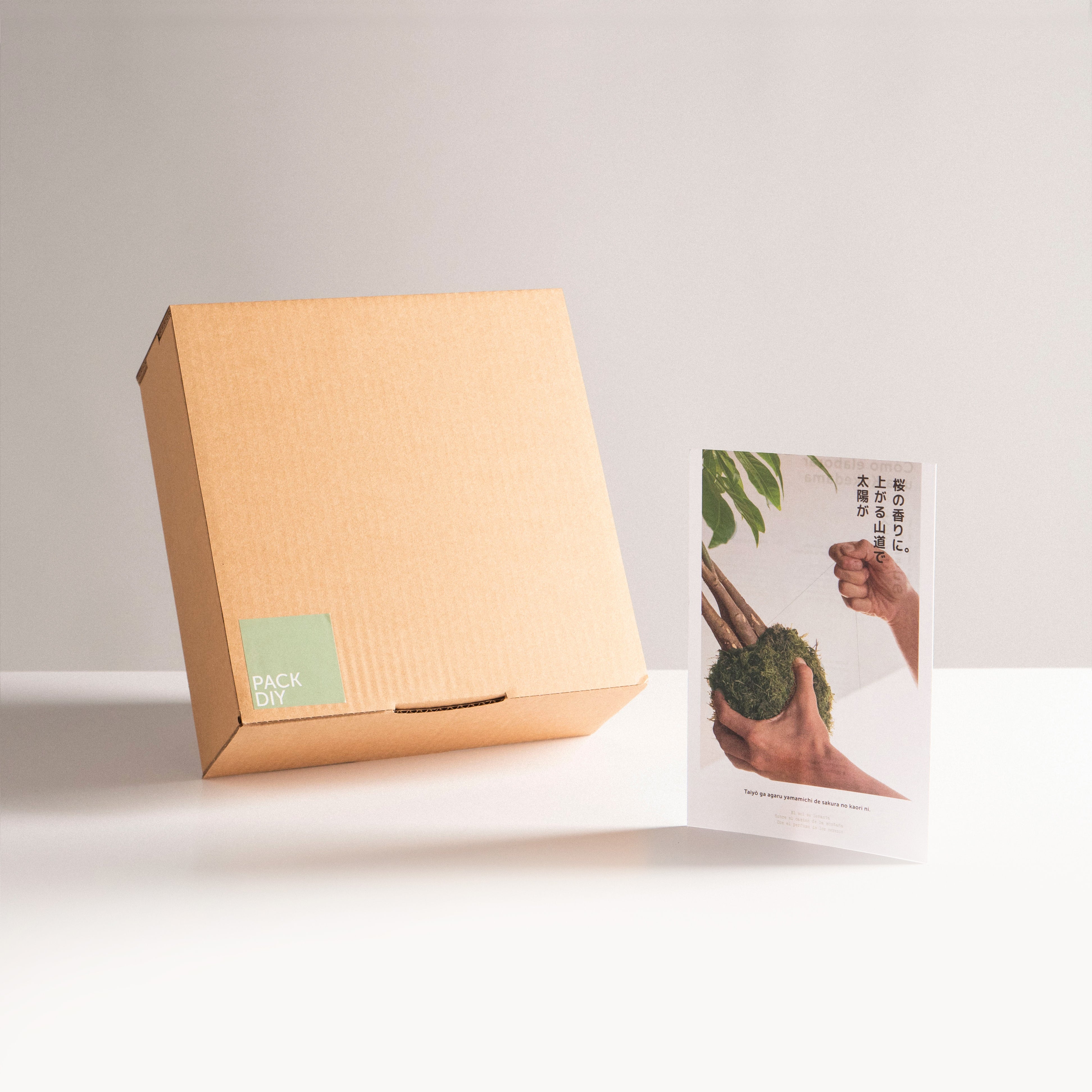 Doe-het-zelf pakket - Kokedama zonder plant