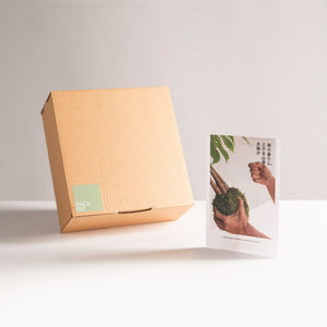 Pack DIY - Kokedama sin planta - Omotesando Plants