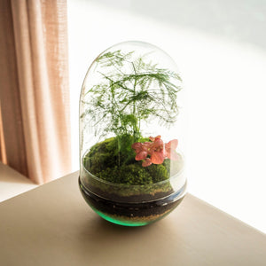 Aspa Natura - Omotesandō Plants