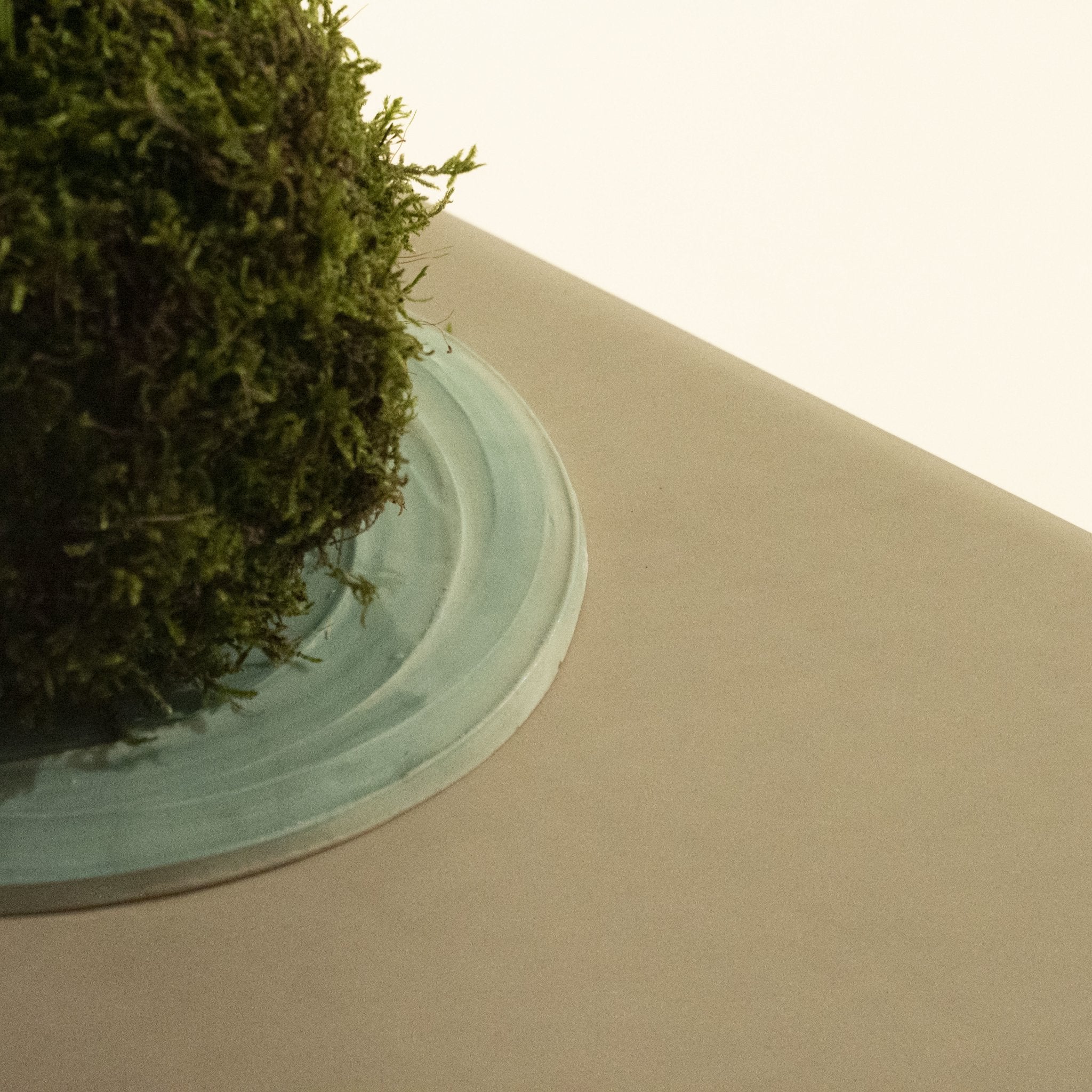 Base de cerámica verde - Omotesando Plants