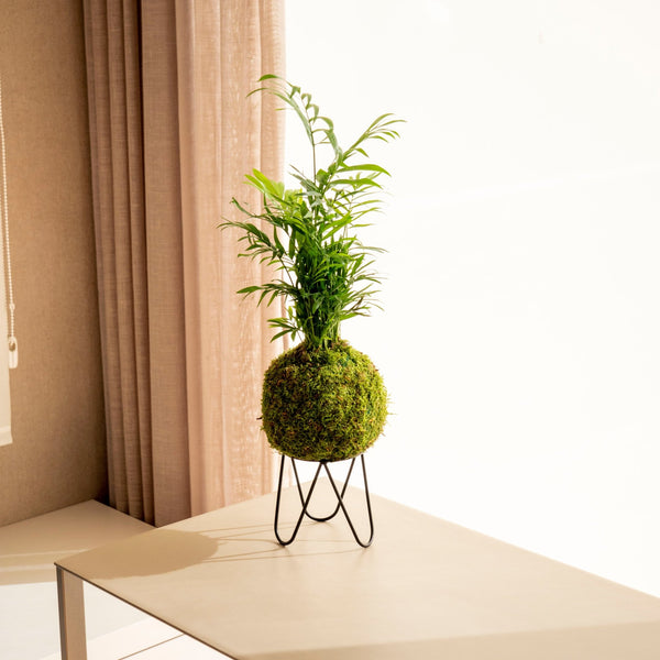 Base Eiffel - Plant Stand - Omotesandō Plants