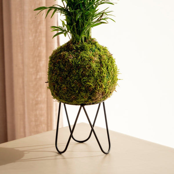 Base Eiffel - Plant Stand - Omotesandō Plants