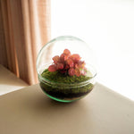 Bubble - Omotesandō Plants