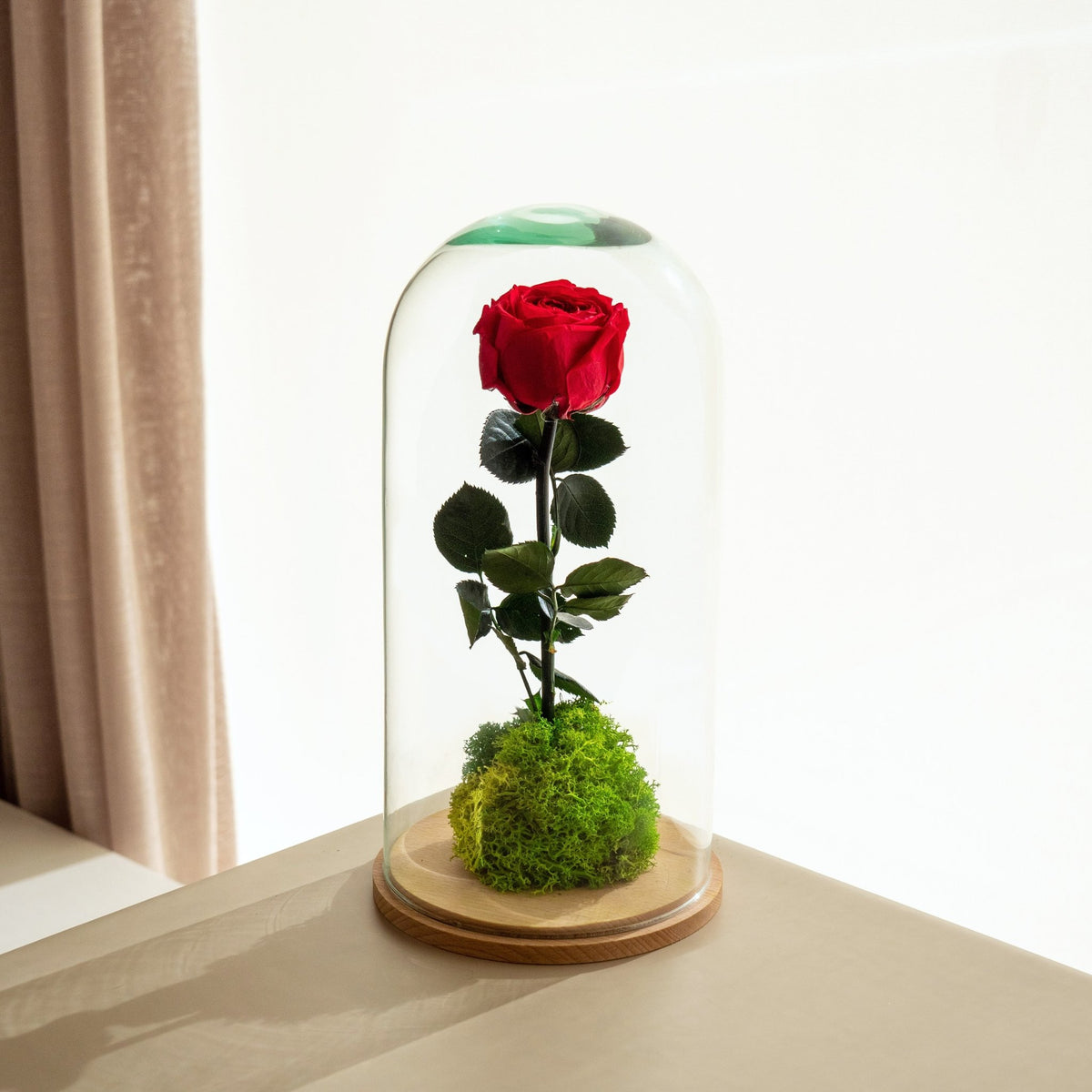 Rose Mapula Cúpula Rose · Buy eternal rose under glass dome · Omotesandō Plants