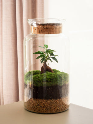 Eco - Omotesandō Plants