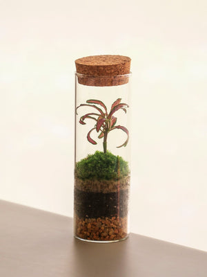 Fit - Omotesandō Plants