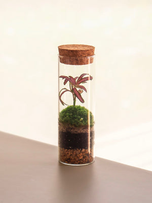 Fit - Omotesandō Plants