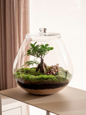 Flora - Omotesandō Plants