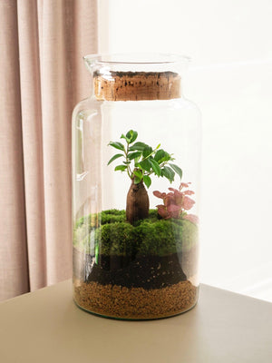 Garden Gins - Omotesandō Plants