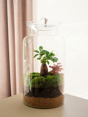 Garden Gins - Omotesandō Plants