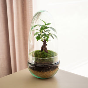 Natura Gins - Omotesandō Plants