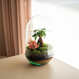 Natura Green - Omotesandō Plants