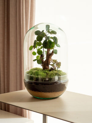 Natura Pol - Omotesandō Plants