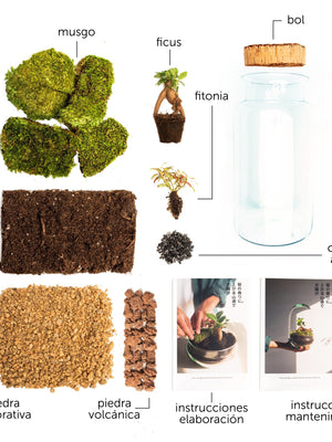 Pack DIY - Jardín en un bol "Garden Gins" - Omotesandō Plants