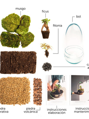 Pack DIY - Jardín en un bol "Natura Gins" - Omotesandō Plants