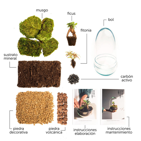 Pack DIY - Jardín en un bol "Natura Gins" - Omotesandō Plants