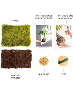 Pack DIY - Kokedama sin planta - Omotesandō Plants