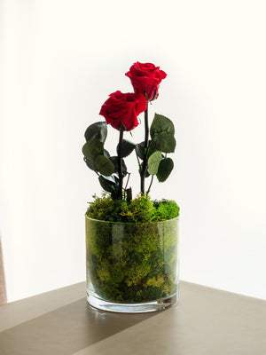 Red Garden - Omotesandō Plants