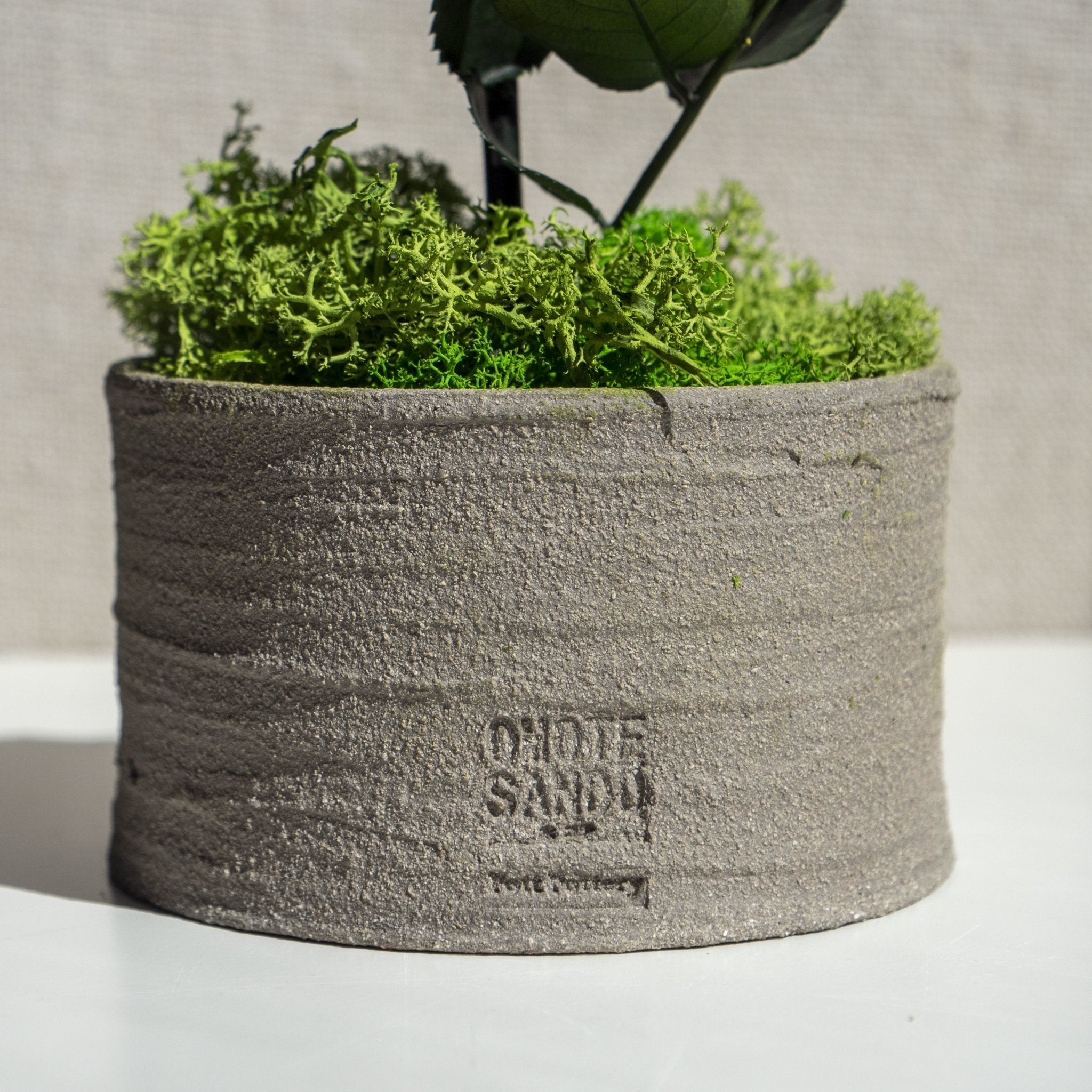 Rose Pott - Omotesando Plants