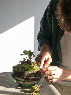 Taller Jardín en un bol y Kokedama - Omotesando Plants