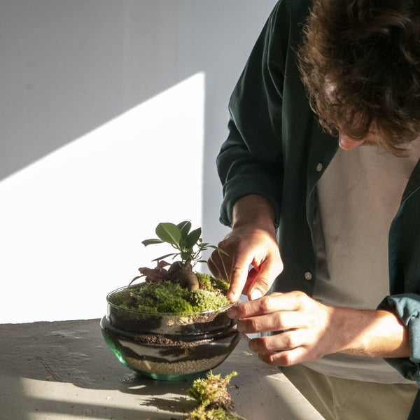 Taller Jardín en un bol y Kokedama - Omotesando Plants