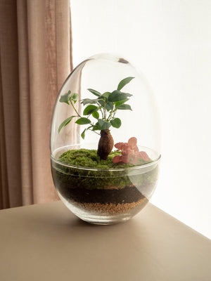 Terra Green - Omotesandō Plants