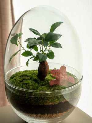 Terra Green - Omotesandō Plants