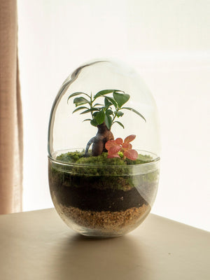 Terra Jungle - Omotesandō Plants