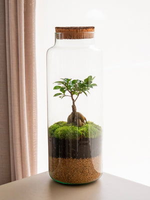 Tower Gins - Omotesandō Plants