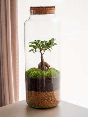 Tower Gins - Omotesandō Plants